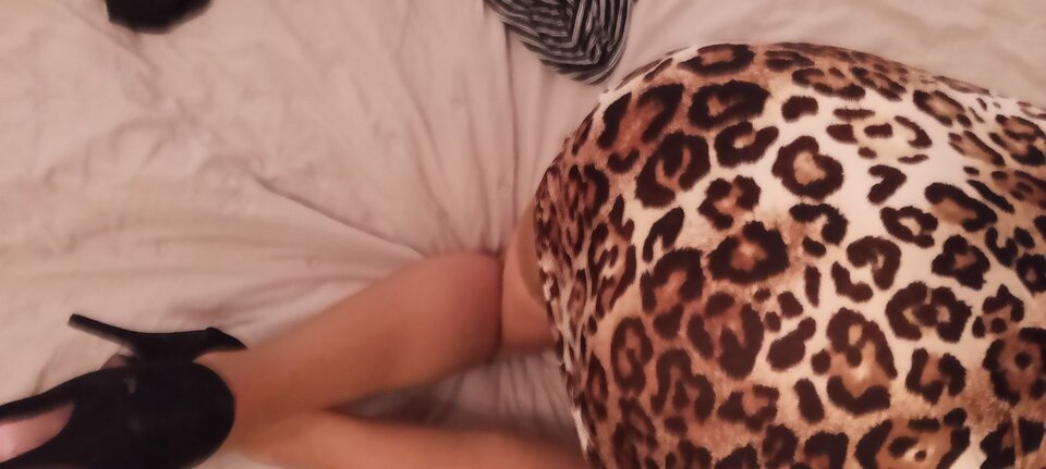 IMG20260412173503.jpg - Kinga33Trans