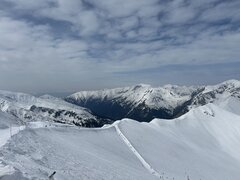 IMG_3006.jpeg
