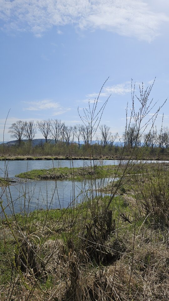 12.04.2026 Stadła - nowytomas