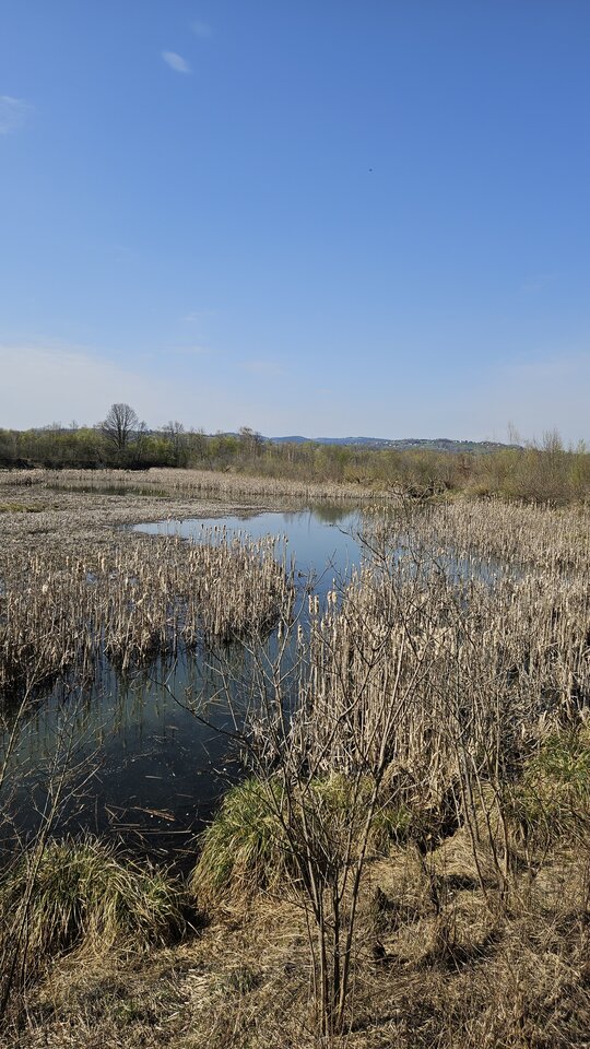 12.04.2026 Stadła - nowytomas