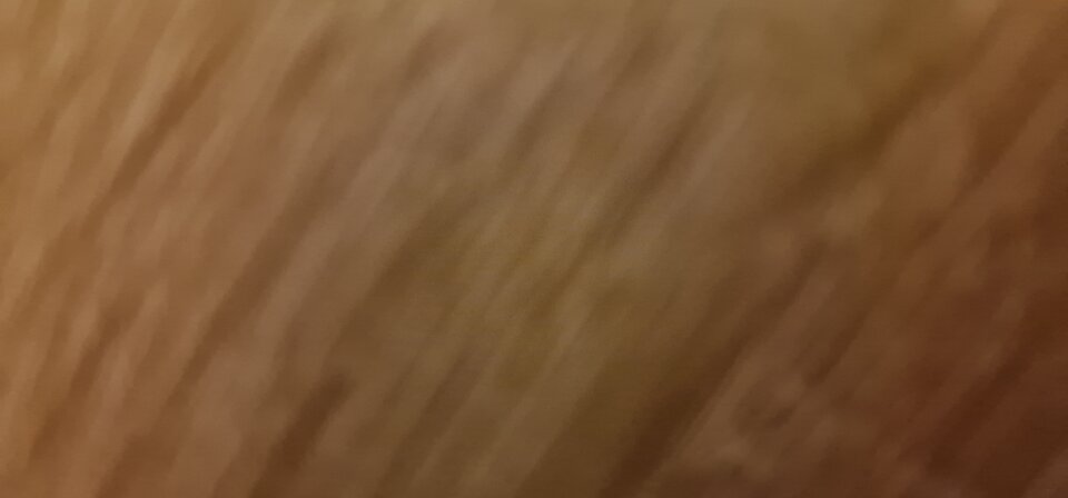 1000087173.jpg - King_Kutas