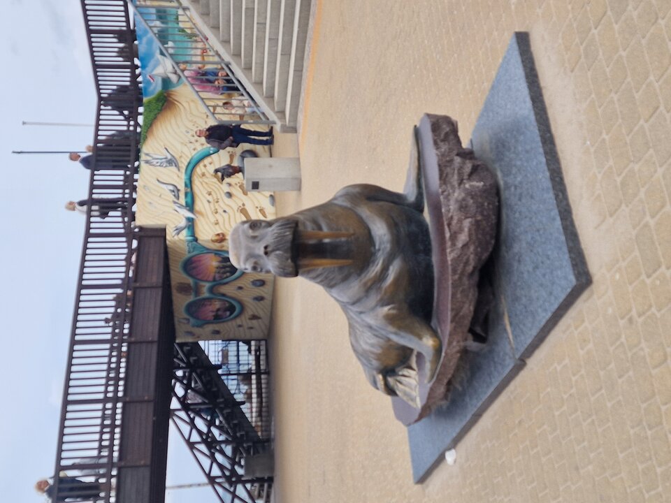 1000070064.jpg - XXXrentier