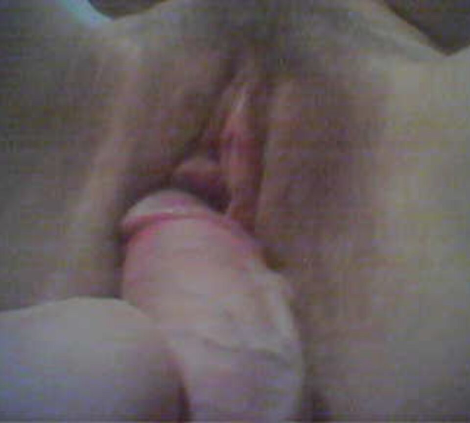 44823.jpg - panBYD85