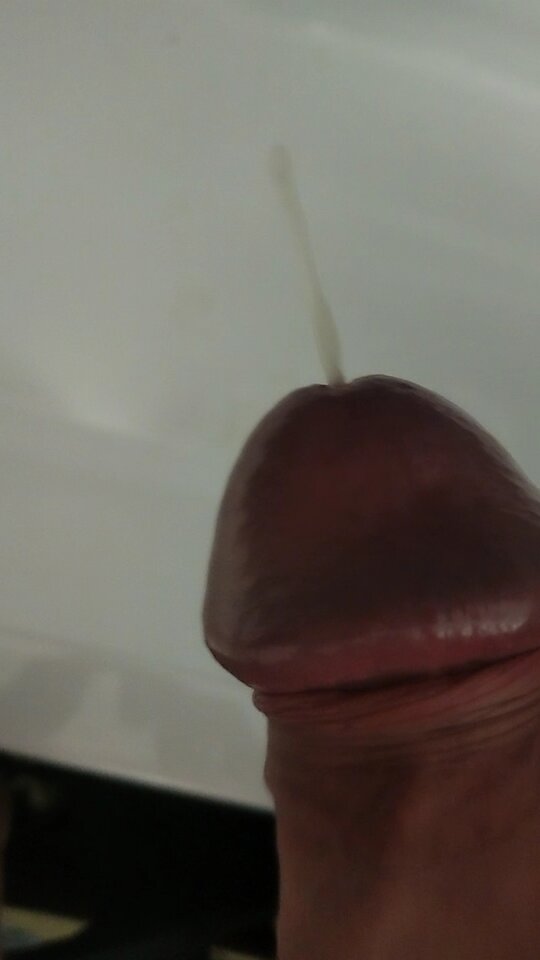 1000046527.jpg - szatan24