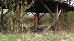 ROGOŹNIK - altana przy ruinach restauracji 20260412.mp4_snapsho