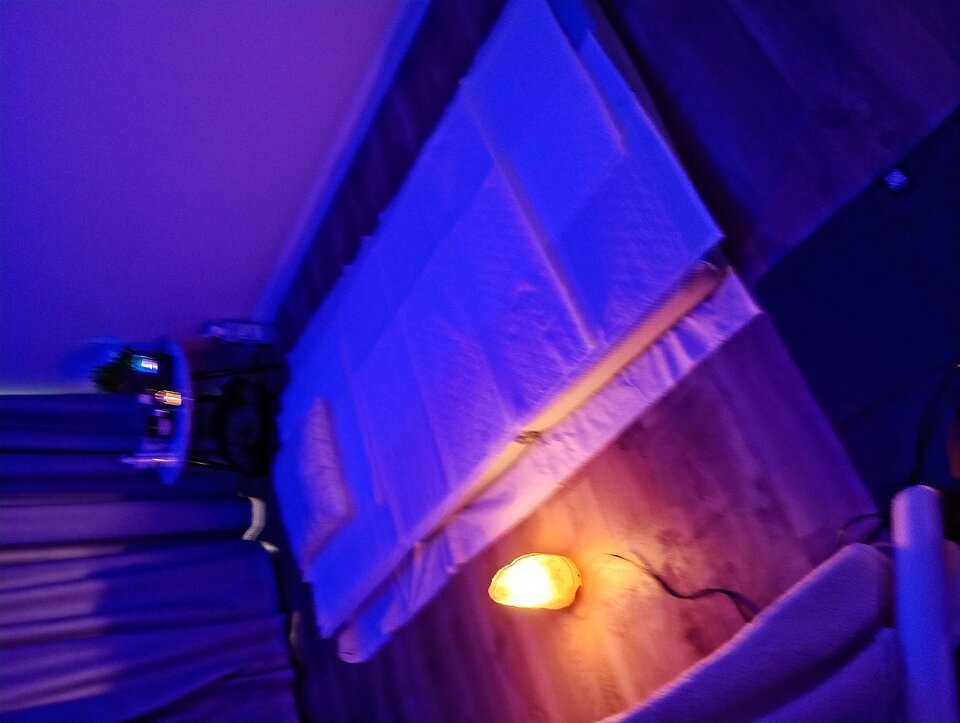 1000009652.jpg - Masazerotyczny1234