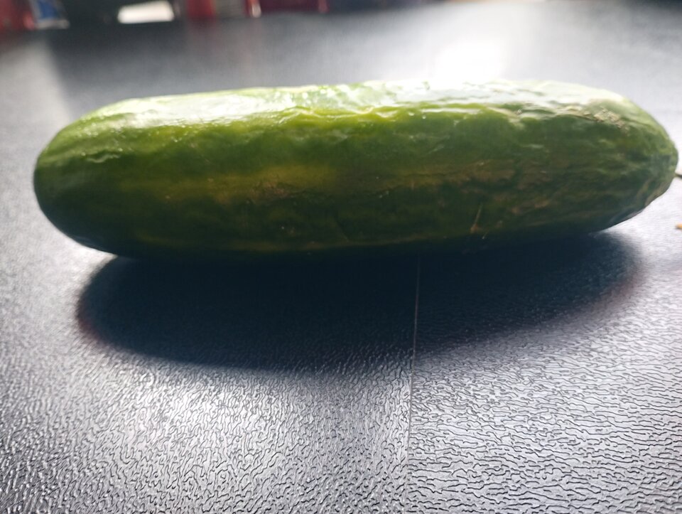 IMG_20260413_152311.jpg - Niejestemmila