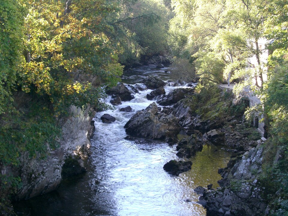 CIMG0403.JPG - orionpowrot