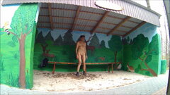 BRZEŚCIE - przystanek 20260413.mp4_snapshot_00.07_[2026.04.13_1