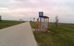 przystanek przy S7 20260413_0857.mp4_snapshot_00.22_[2026.04.13_