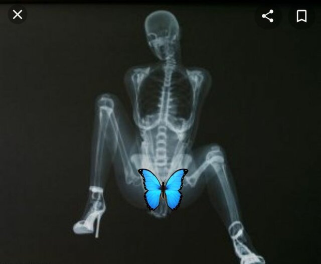 6906.jpg - findomma49