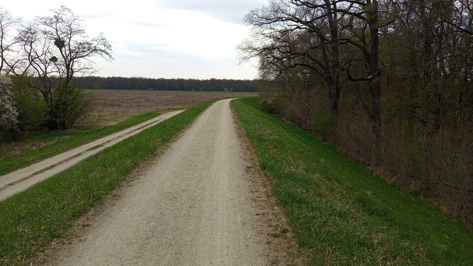 1000039012.jpg - Marcinwro85