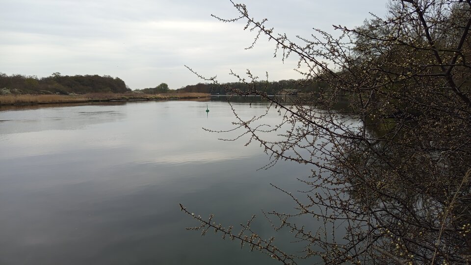 1000039013.jpg - Marcinwro85