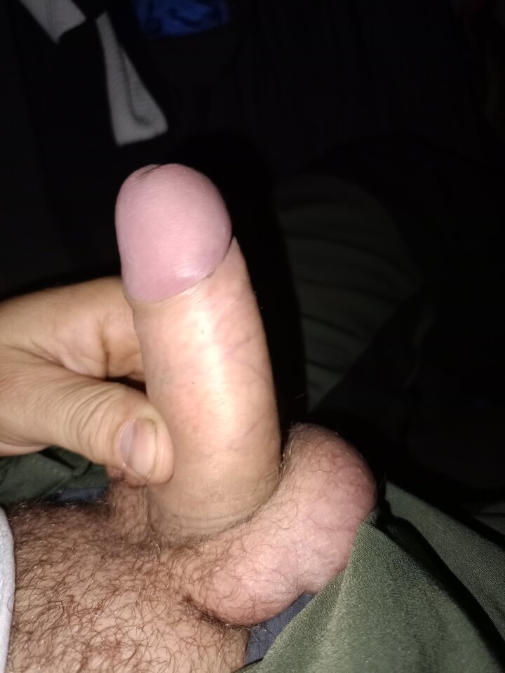 1000022224.jpg - Galmet