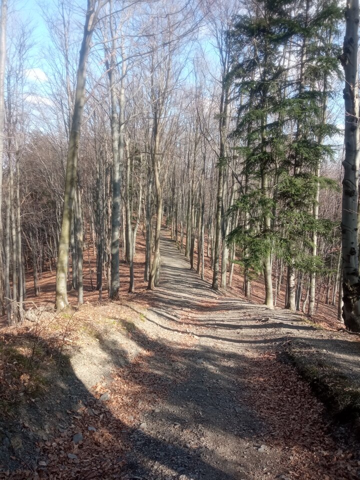 IMG_20260321_140509.jpg - Sapioseksualny1988