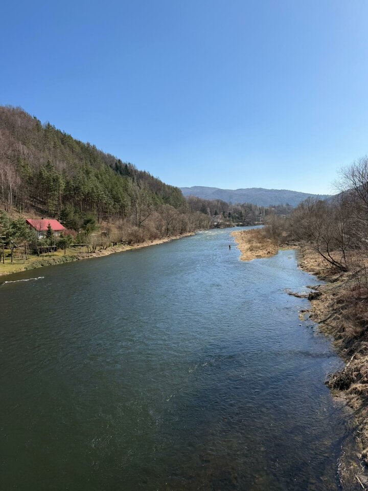 1000012155.jpg - Facio89