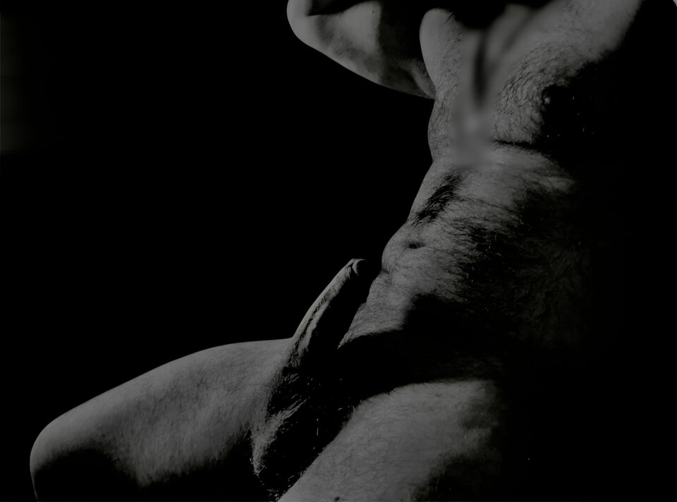 Photoroom_20260414_192208.jpeg - Donatello8401