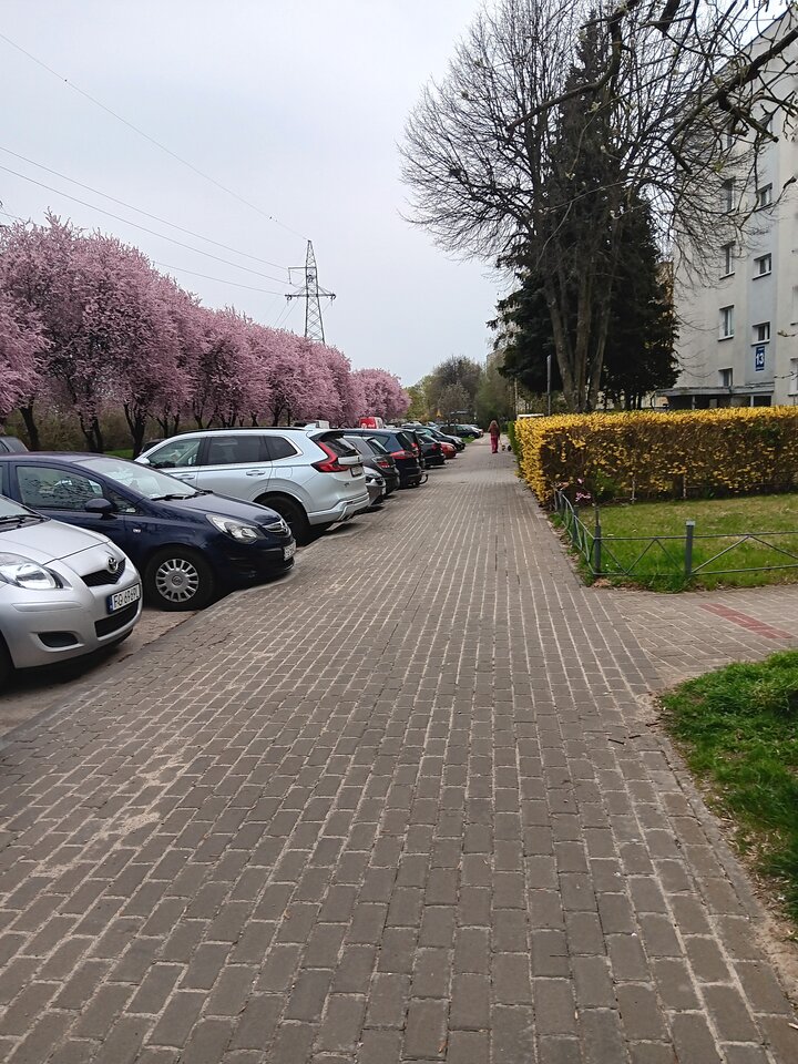 20260414_180304.jpg - WESOLAWDOWKA