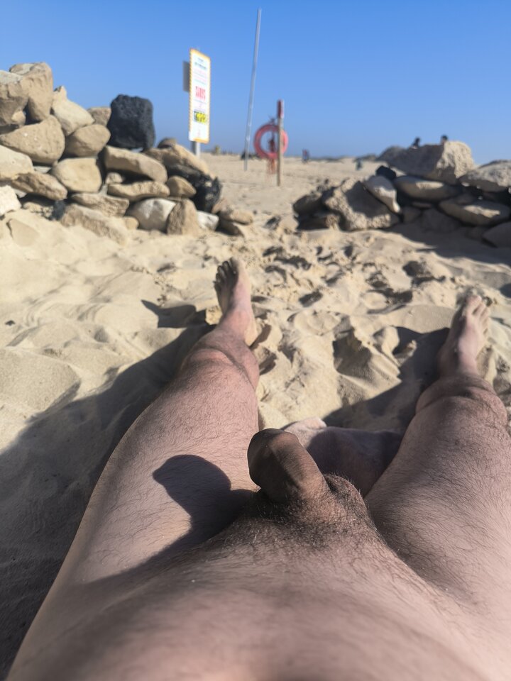 1000012811.jpg - Hornet013