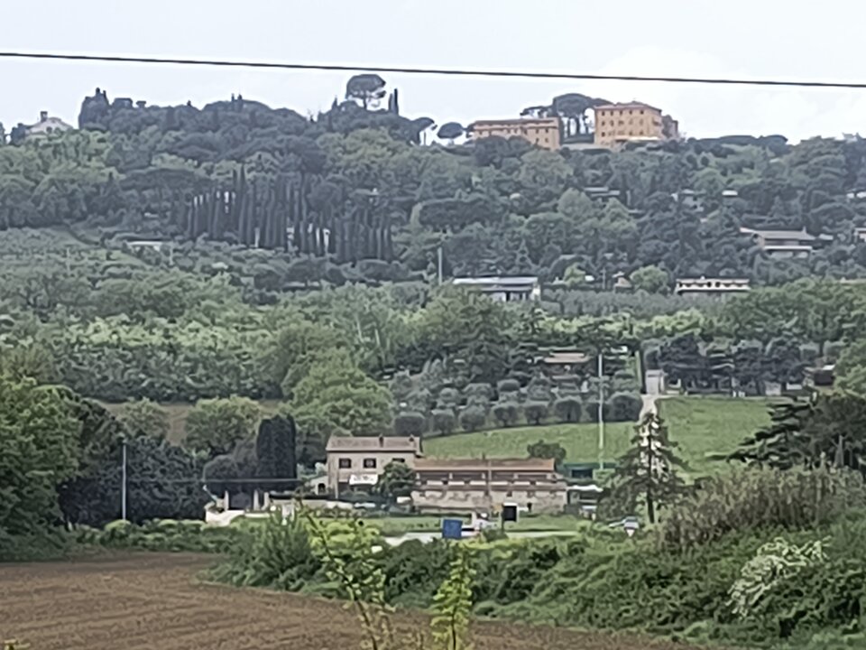 1000000651.jpg - Zawiedziony1234