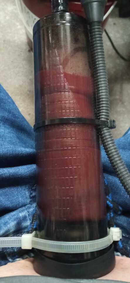 IMG_20260410_155510.jpg - Tomek___69