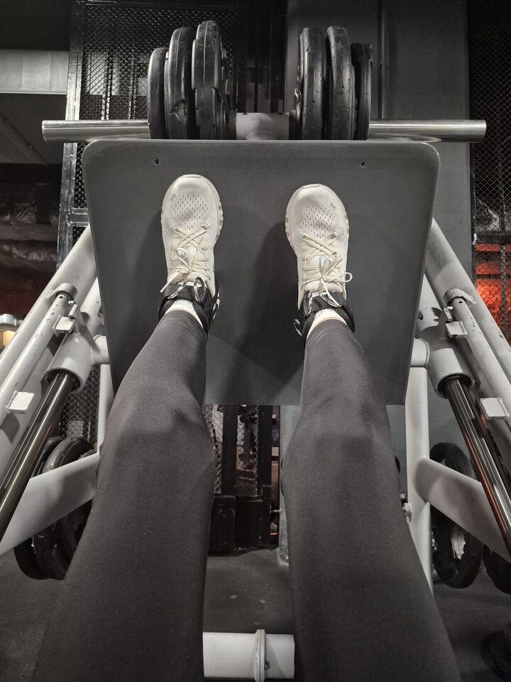 39456.jpg - Liligrow