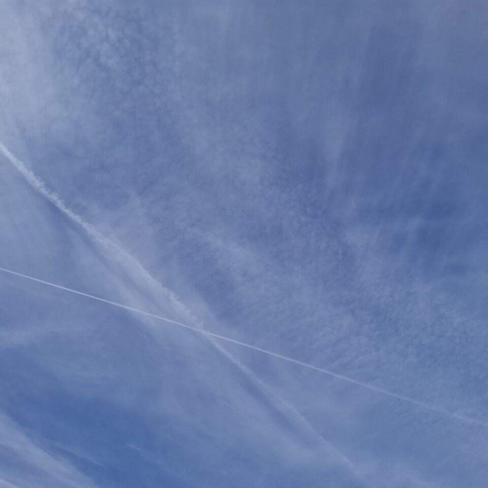 1000053022.jpg - ZafochAna