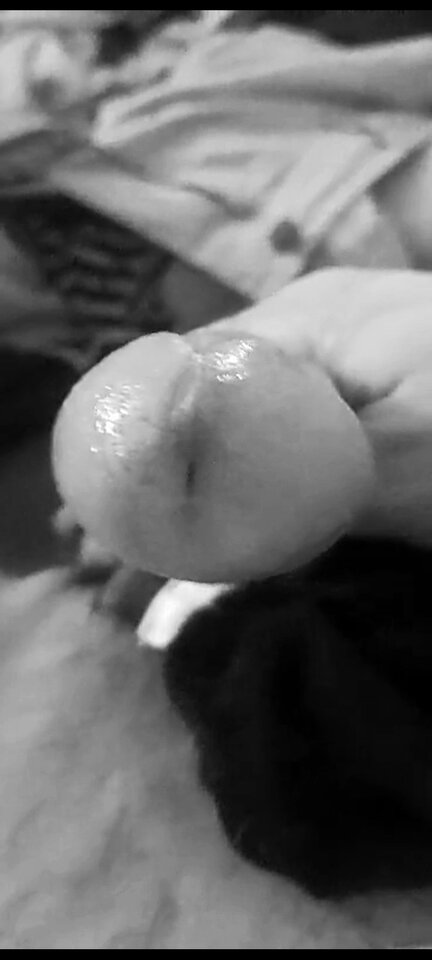 IMG_20260416_024039.jpg - LIBIEeksperymentyORAL