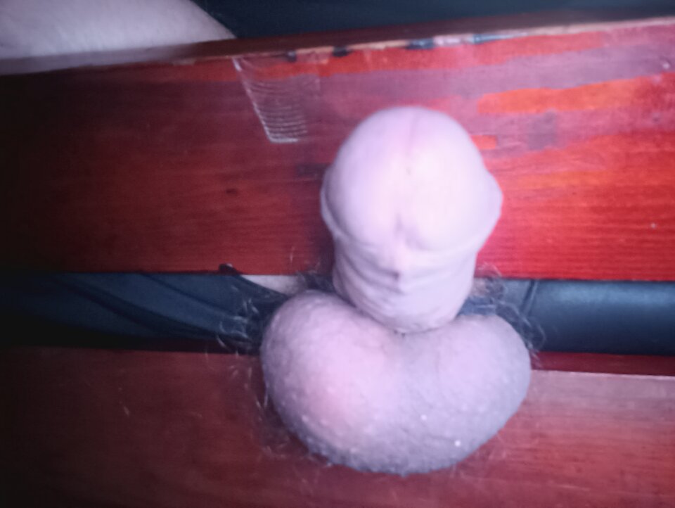 17763038409609016173410960715639.jpg - fa7cowyn