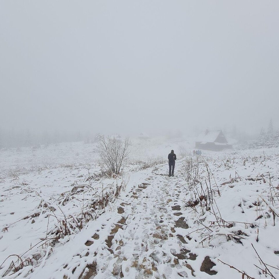 IMG_0120.jpeg - Tomi4568