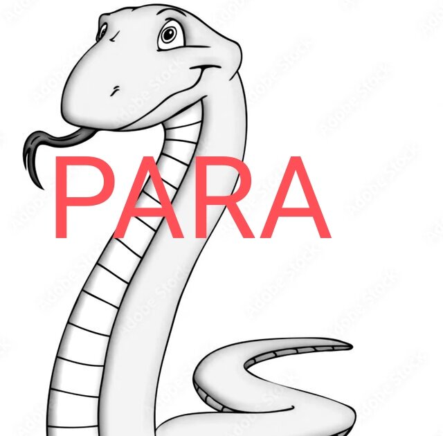 IMG_20260416_133421.jpg - 6LizaK9