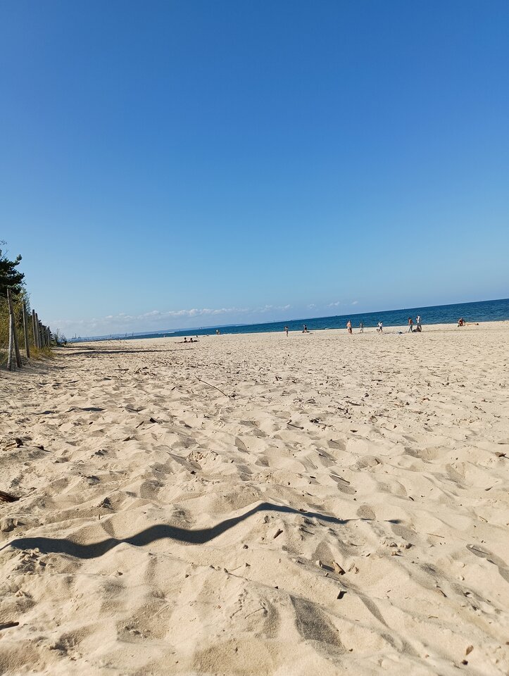 IMG_20240901_143859.jpg - Gangibang