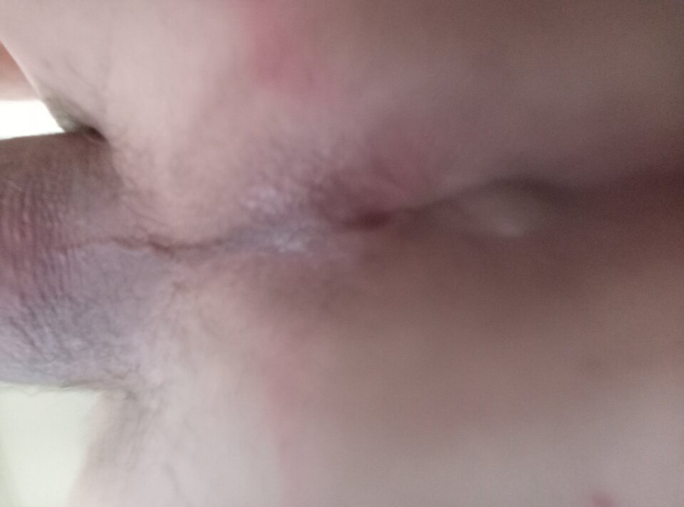 1000024103.jpg - Para5046Bi