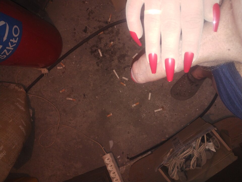 IMG_20260416_220405180.jpg - Pinguary2345