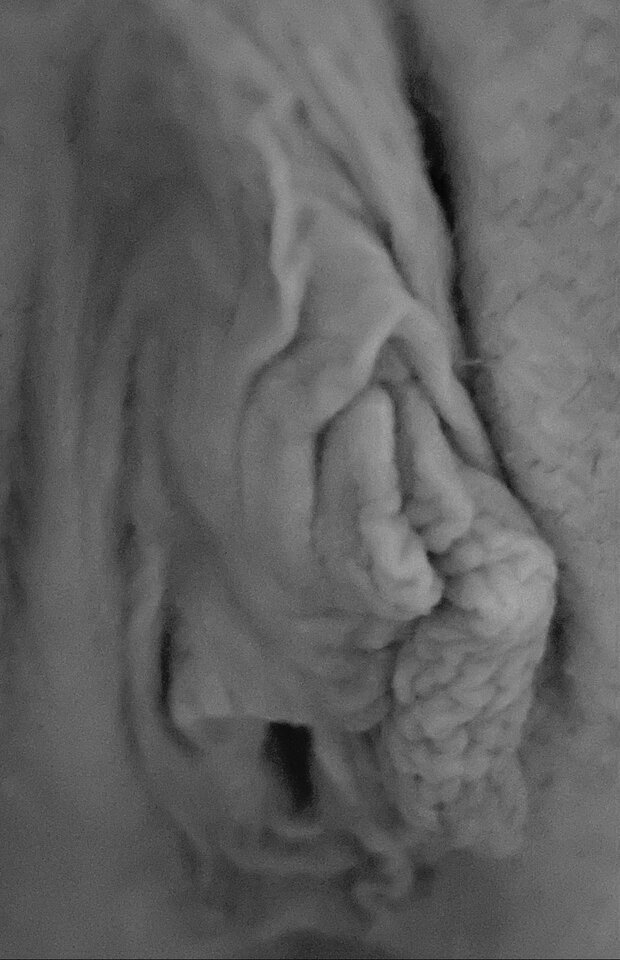 1000006663.jpg - wojtekimarysia