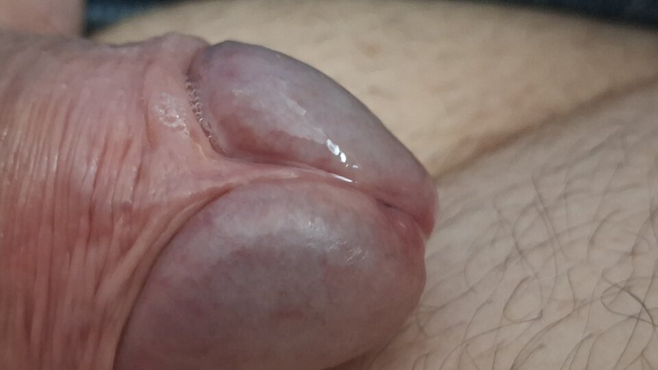 2026-04-1707.47.583573407002071044445.jpg - mar_nn40