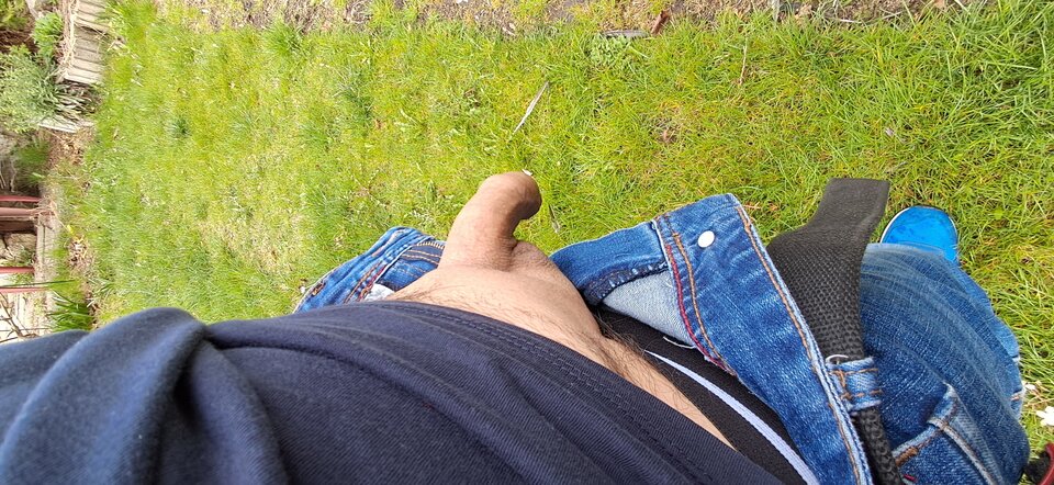 1000044609.jpg - daw1