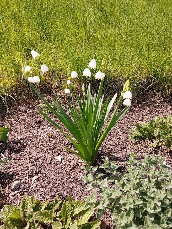 DSC03568.jpg - IgaGlamour