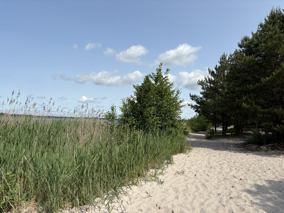 IMG_0115.jpeg - 1naturysta