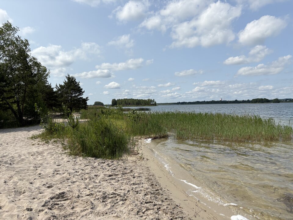 IMG_0114.jpeg - 1naturysta