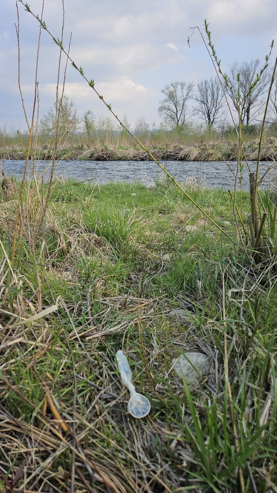 1000054252.jpg - nowytomas