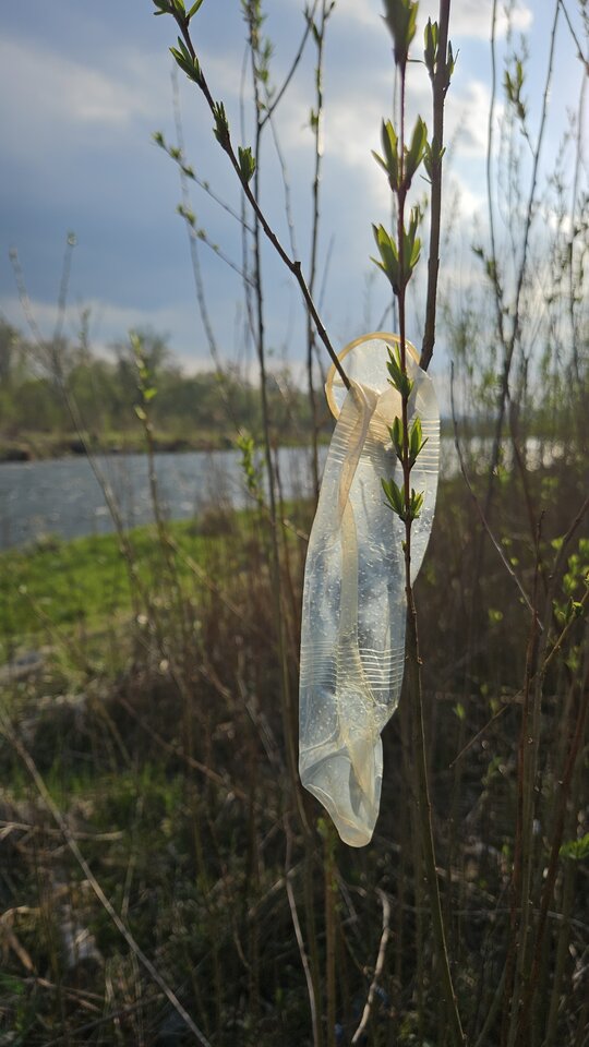 1000054268.jpg - nowytomas