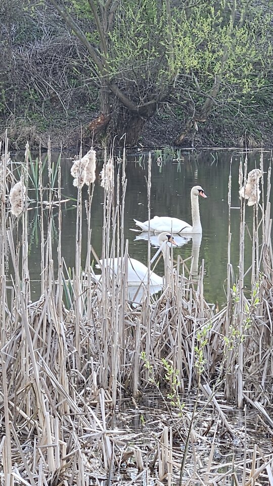 1000054295.jpg - nowytomas