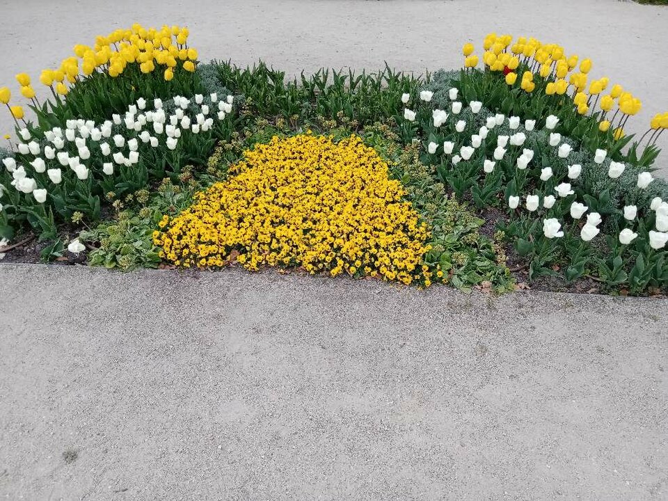 DSC03338.jpg - IgaGlamour