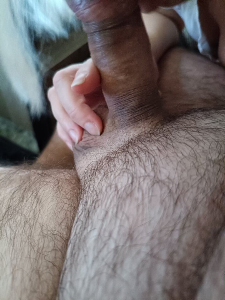 5fbcd672-7eff-4693-b3b3-e4e1369da0a6-1_all_11831.jpg - PiotrTheWhite