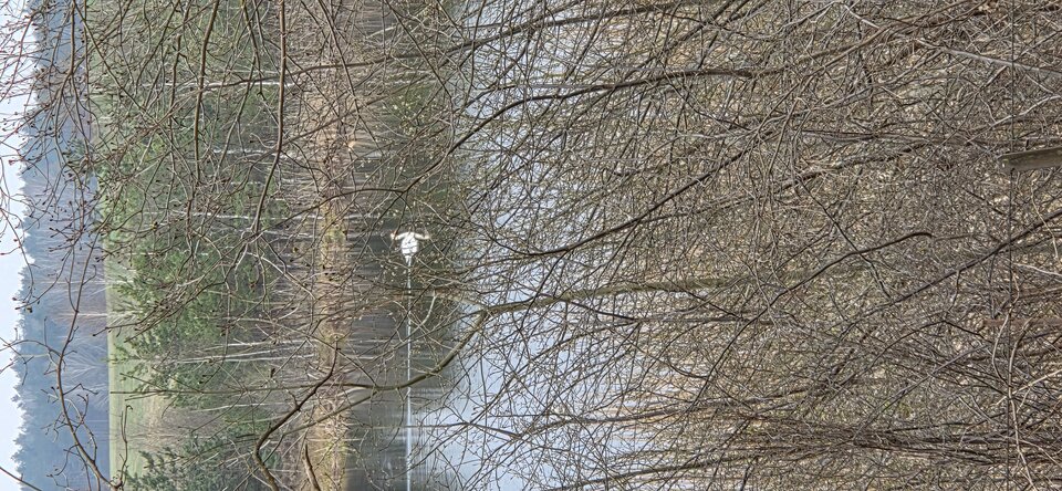 1000045234.jpg - Pawel7508