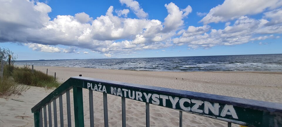 25798.jpg - NaturystaZSW