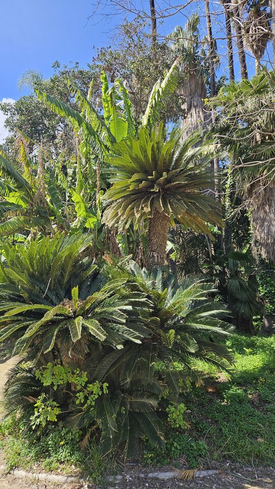 1000073146.jpg - Xmienna77