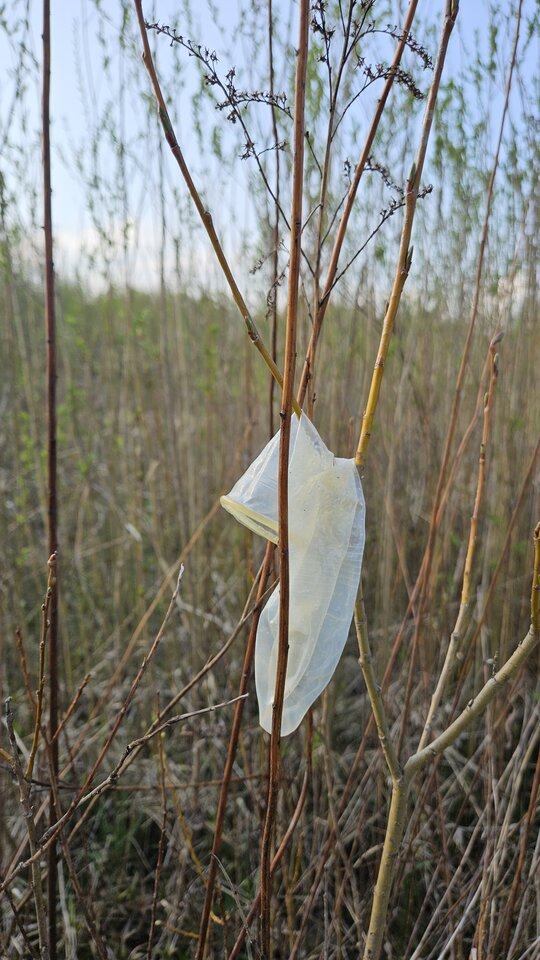 1000054255.jpg - nowytomas