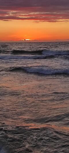 Screenshot_2025-06-24-16-31-22-032_com.google.android.apps.photo